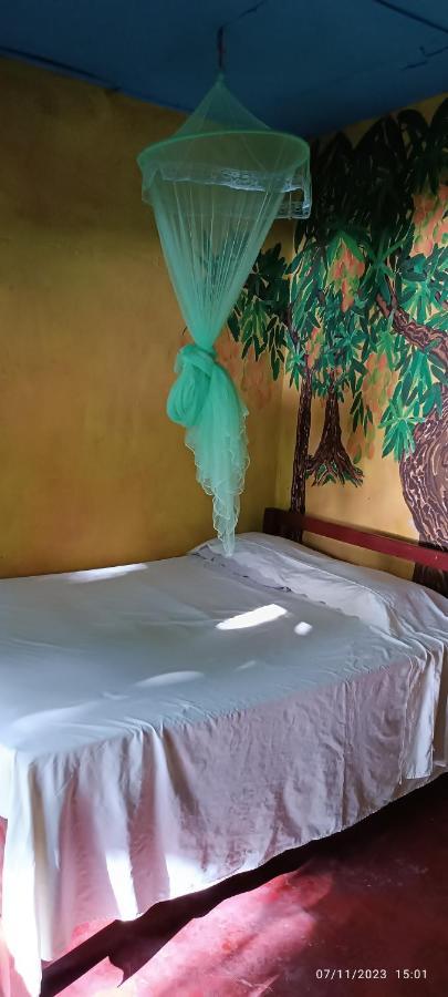 Hostel La Gloria Ometepe Zewnętrze zdjęcie
