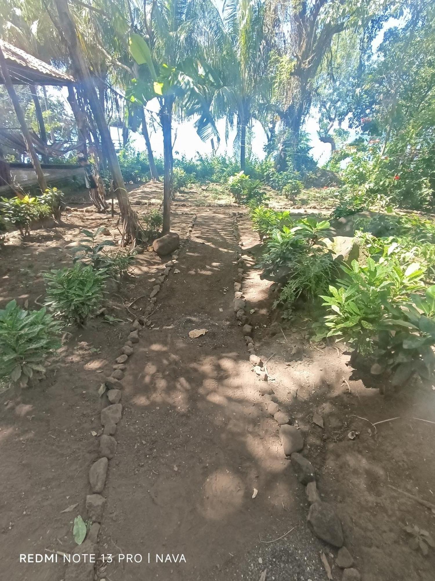 Hostel La Gloria Ometepe Zewnętrze zdjęcie